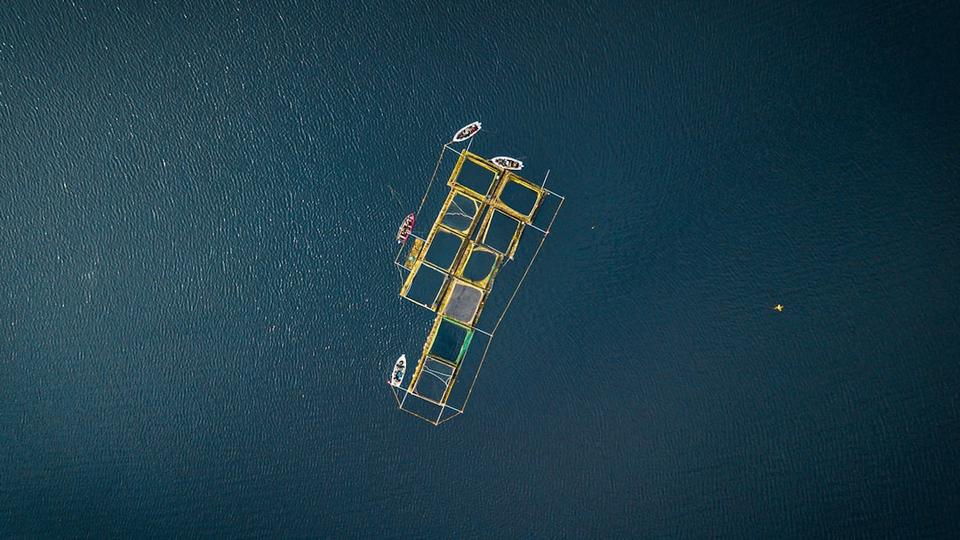 Các thành tựu nổi bật của AQ SHIP | thành tích AQ SHIP