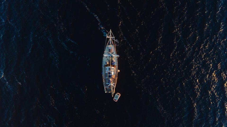 Cơ hội hợp tác với đối tác AQ SHIP | hợp tác đối tác AQ SHIP