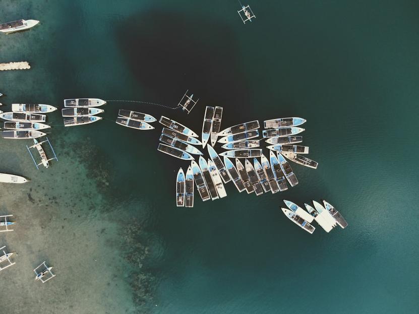 Các sự kiện cộng đồng của AQ SHIP | hoạt động cộng đồng AQ SHIP